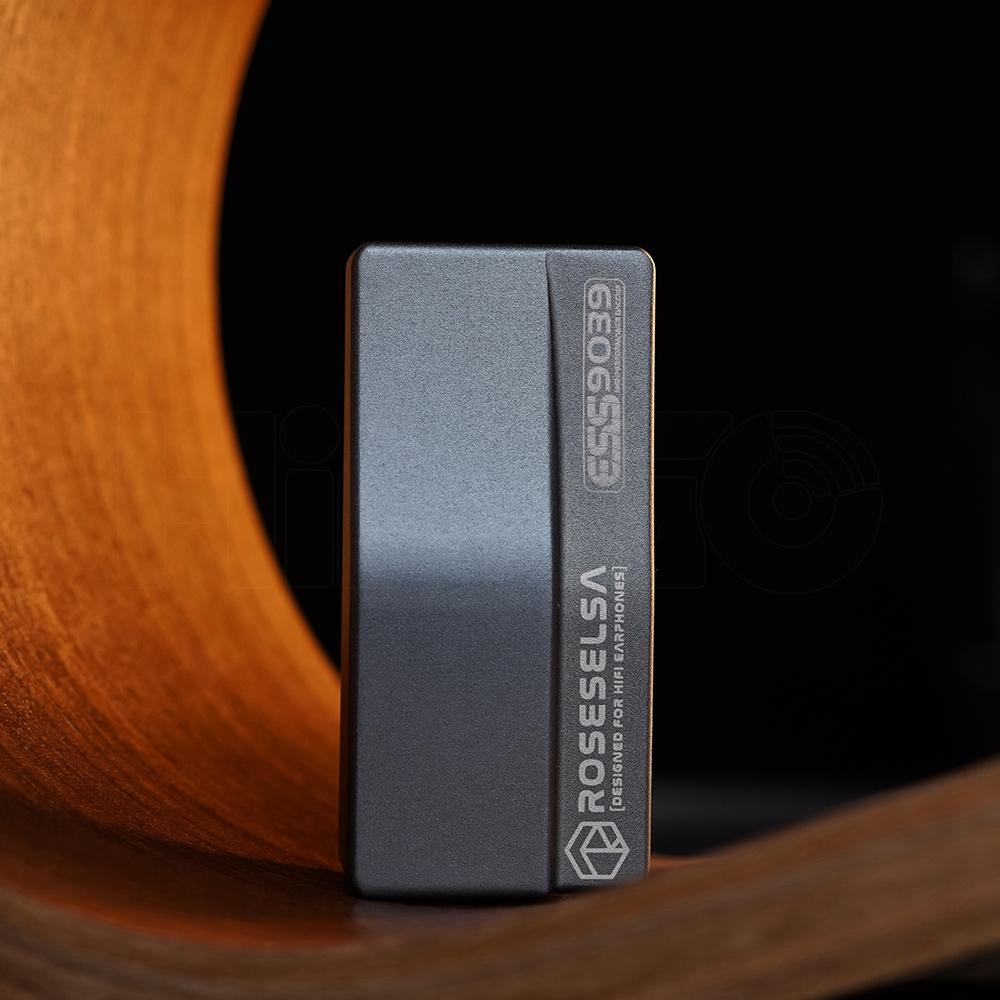 ROSESELSA RS9039 Portable Flag - Portable Amplifier Mini review and price