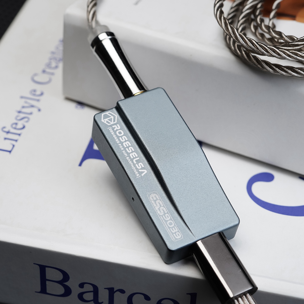 ROSESELSA RS9039 Portable Flag - Portable Amplifier Mini review and price