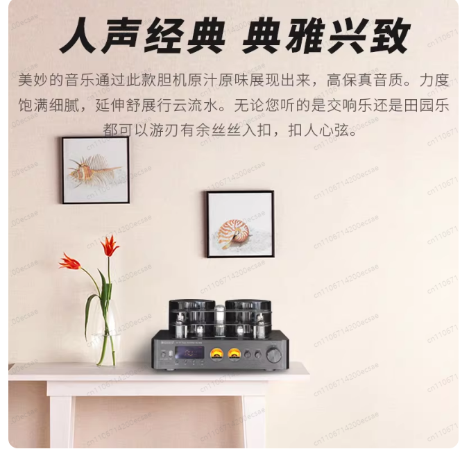 220V 400W * 2 High Fidelity Wi - Audio Music In Youtube review and price